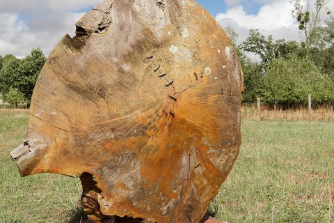 Le grand disque de bois sur la plaque rouillée