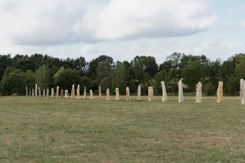 L'alignement de menhirs