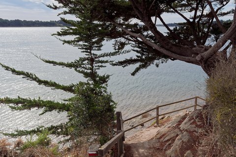 L'arche de cyprès au-dessus de l'eau