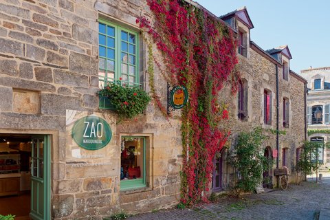 Rue et vigne vierge